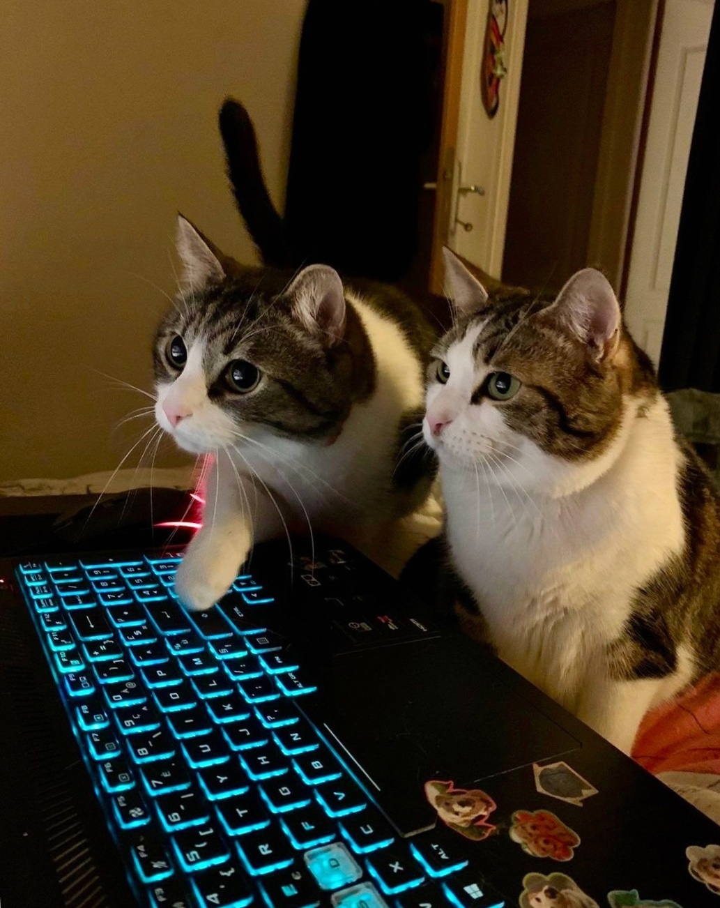 Crushjs